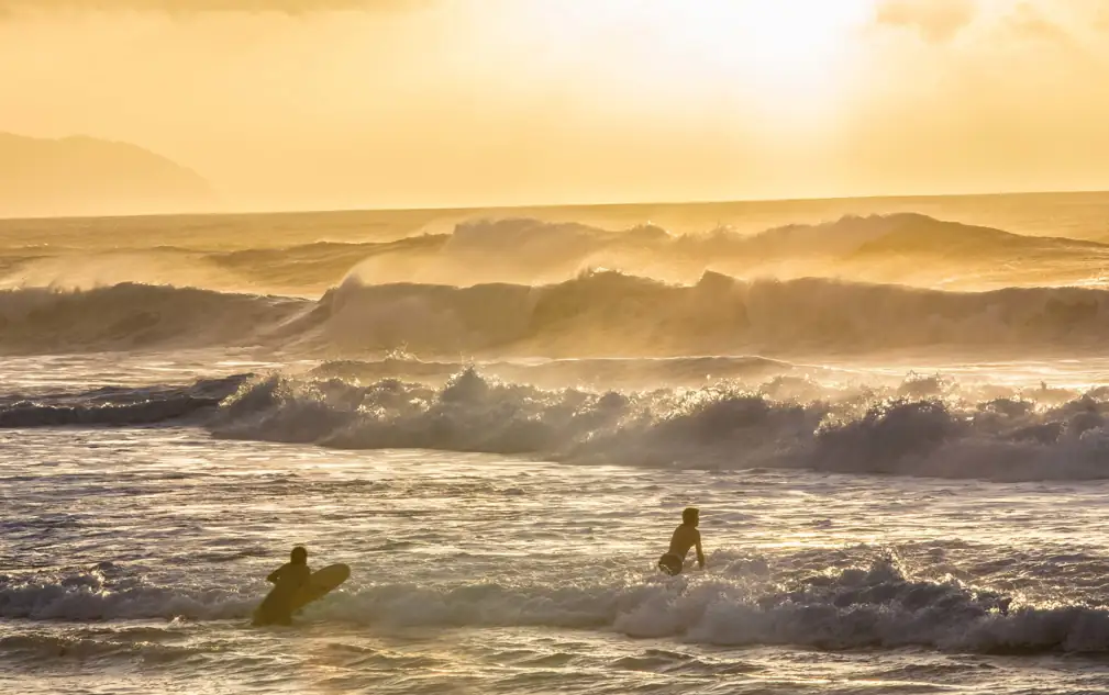 seignosse paradis des surfeurs