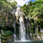 waterfalls in the middle of the forest during daytime
