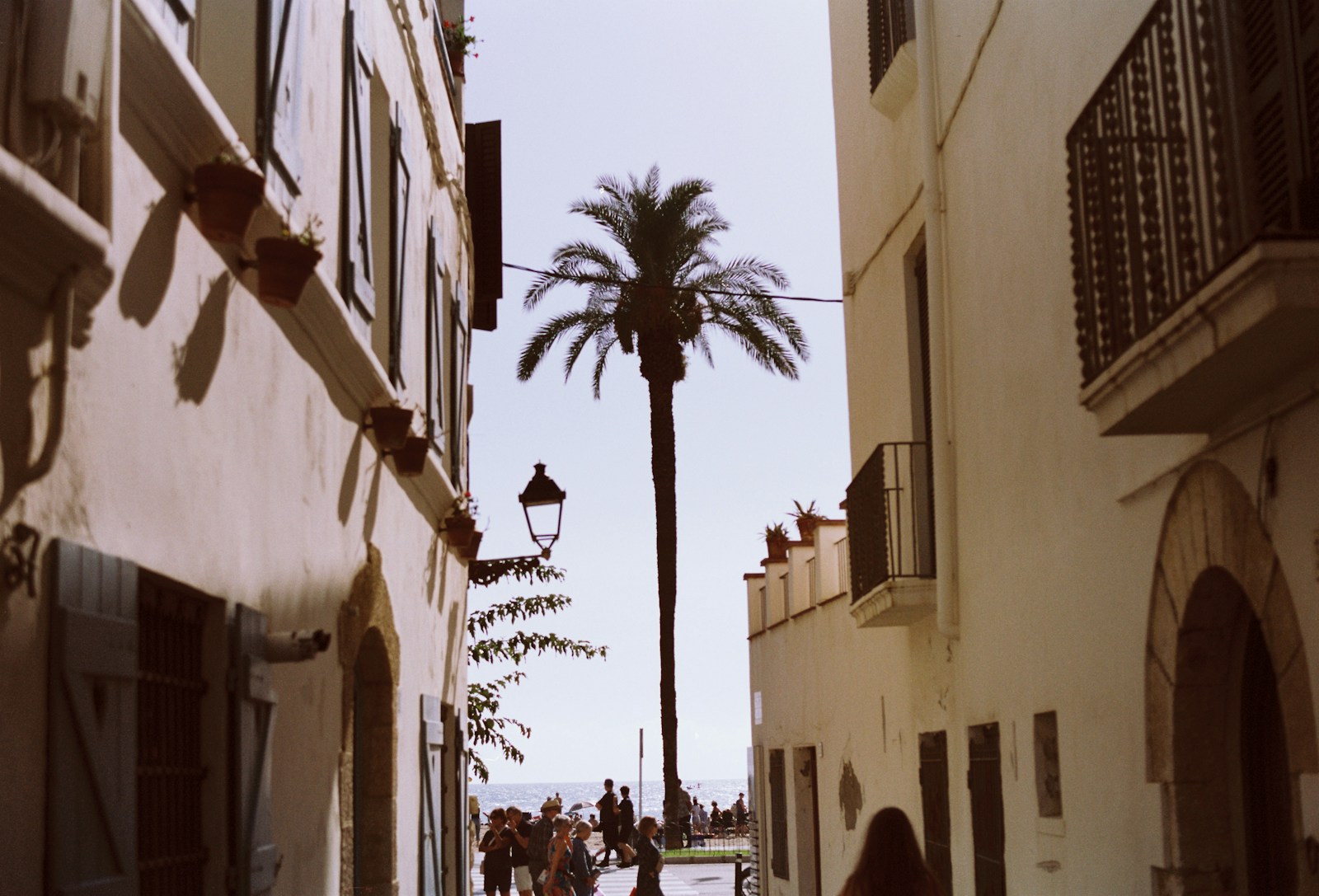 A narrow street with a palm tree in the distance