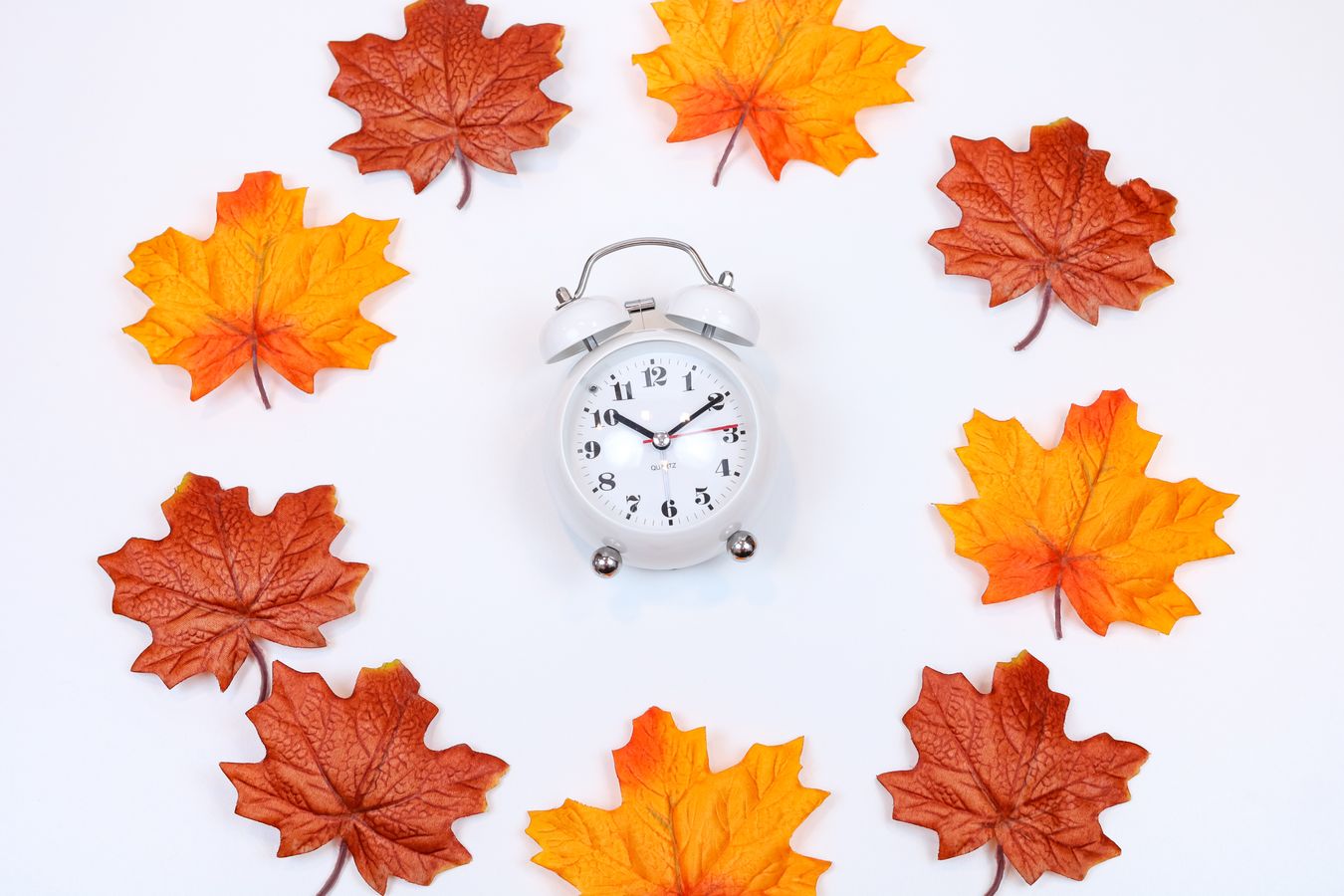 Réveil matin entouré de feuilles d'érable, illustrant le passage à l'heure d'été au Canada